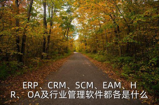 ERP、CRM、SCM、EAM、HR、 OA及行業(yè)管理軟件都各是什么