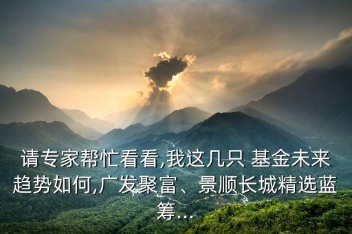 請專家?guī)兔纯?我這幾只 基金未來趨勢如何,廣發(fā)聚富、景順長城精選藍籌...