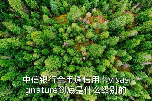  中信銀行全幣通信用卡visasignature到底是什么級(jí)別的