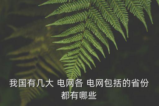 我國有幾大 電網(wǎng)各 電網(wǎng)包括的省份都有哪些