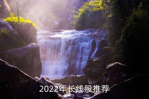 2022年長(zhǎng)線股推薦