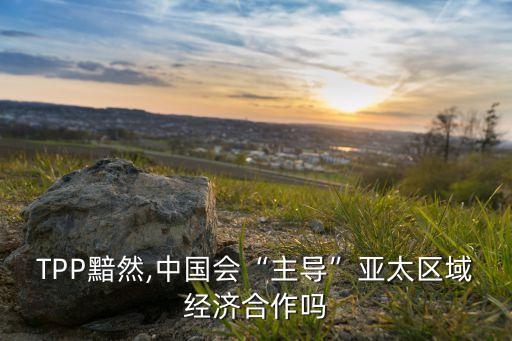 TPP黯然,中國會“主導(dǎo)”亞太區(qū)域經(jīng)濟合作嗎