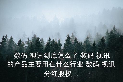  數(shù)碼 視訊到底怎么了 數(shù)碼 視訊的產(chǎn)品主要用在什么行業(yè) 數(shù)碼 視訊分紅股權(quán)...