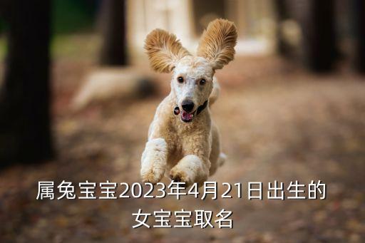 屬兔寶寶2023年4月21日出生的女寶寶取名