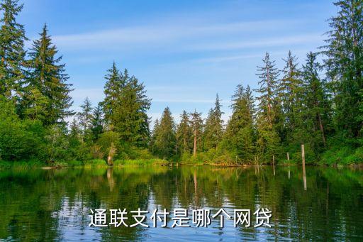 通聯(lián)支付是哪個(gè)網(wǎng)貸