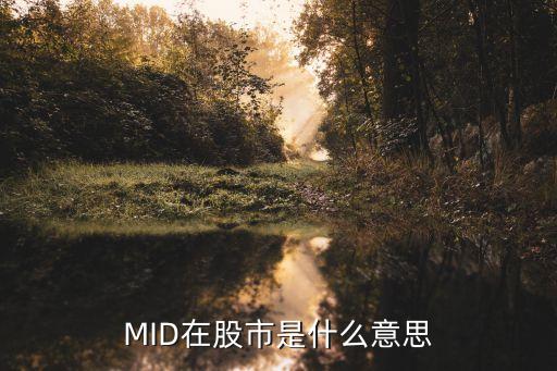 MID在股市是什么意思