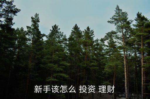 新手該怎么 投資 理財