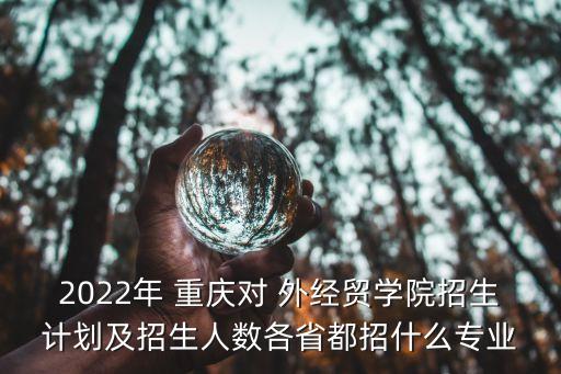 2022年 重慶對(duì) 外經(jīng)貿(mào)學(xué)院招生計(jì)劃及招生人數(shù)各省都招什么專業(yè)