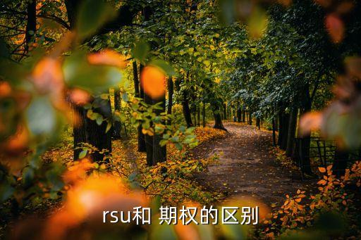 rsu和 期權的區(qū)別