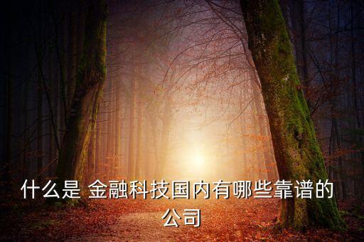 什么是 金融科技國內(nèi)有哪些靠譜的 公司