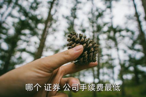 唐山哪家證券公司傭金低,哪家證券公司傭金低 服務(wù)好