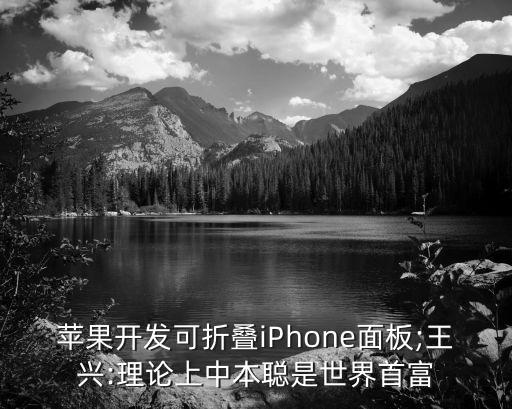 蘋果開發(fā)可折疊iPhone面板;王興:理論上中本聰是世界首富