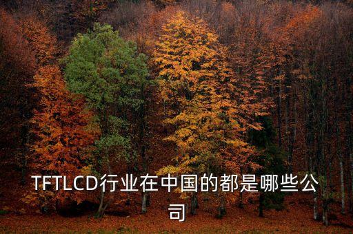 TFTLCD行業(yè)在中國的都是哪些公司