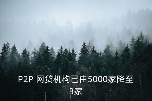 成立p2p網(wǎng)貸公司,p2p網(wǎng)貸公司有哪些