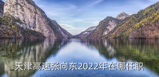 天津高速張向東2022年在哪任職