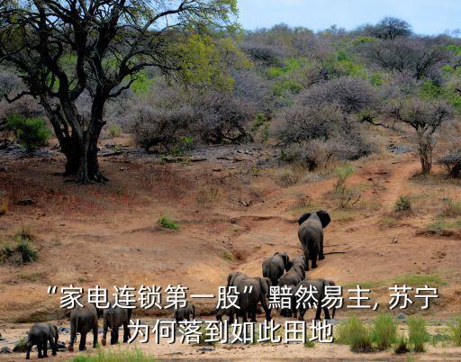 “家電連鎖第一股”黯然易主, 蘇寧為何落到如此田地