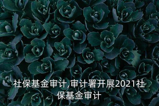 美國(guó)社?；饘徲?jì),審計(jì)署開展2021社保基金審計(jì)