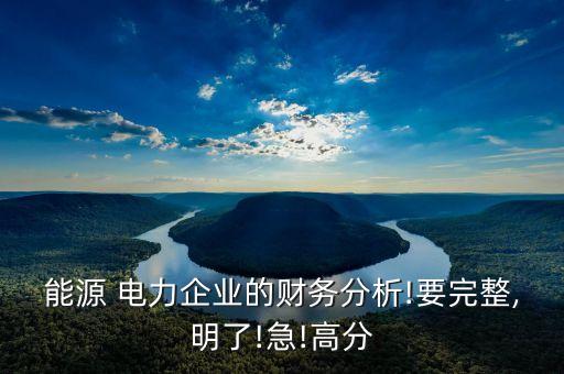 能源 電力企業(yè)的財務(wù)分析!要完整,明了!急!高分