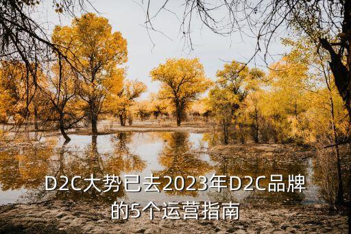 D2C大勢(shì)已去2023年D2C品牌的5個(gè)運(yùn)營(yíng)指南