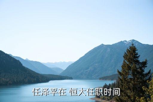 任澤平在 恒大任職時間