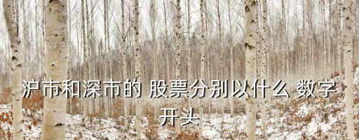 滬市和深市的 股票分別以什么 數(shù)字開頭