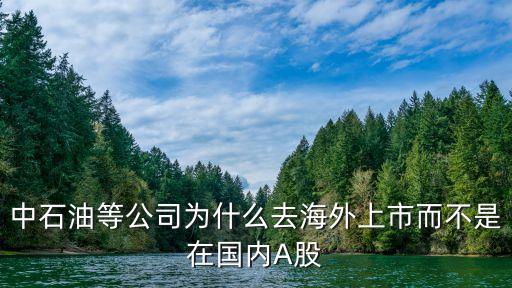 中石油等公司為什么去海外上市而不是在國內(nèi)A股