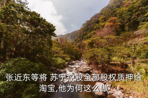 張近東等將 蘇寧控股全部股權(quán)質(zhì)押給淘寶,他為何這么做