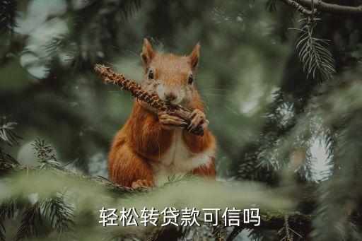 輕松轉(zhuǎn)貸款可信嗎