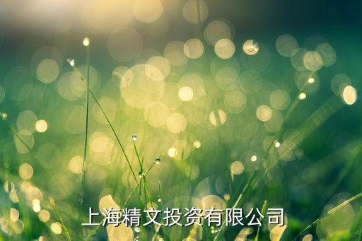  上海精文投資有限公司