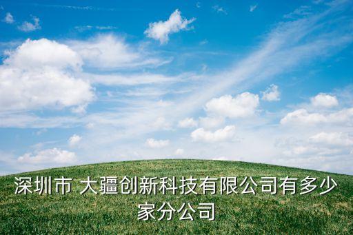 深圳市 大疆創(chuàng)新科技有限公司有多少家分公司