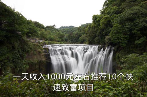 一天收入1000元左右推薦10個快速致富項目