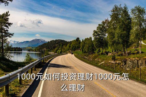 1000元如何投資理財1000元怎么理財