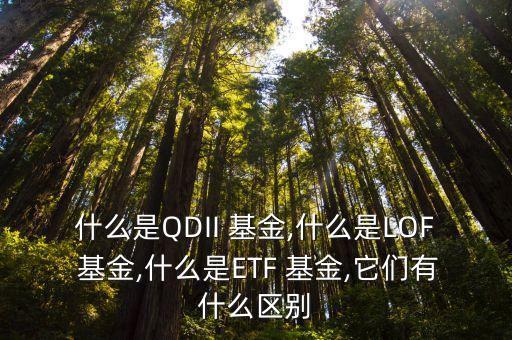 什么是QDII 基金,什么是LOF 基金,什么是ETF 基金,它們有什么區(qū)別