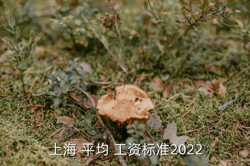  上海 平均 工資標準2022