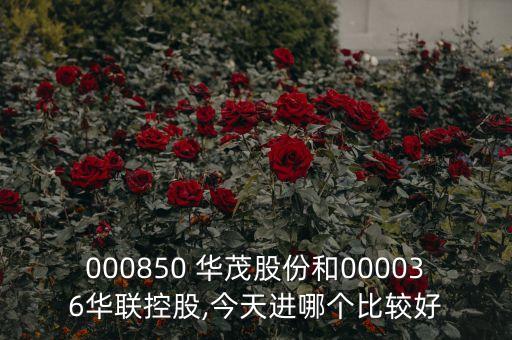 000850 華茂股份和000036華聯(lián)控股,今天進(jìn)哪個比較好