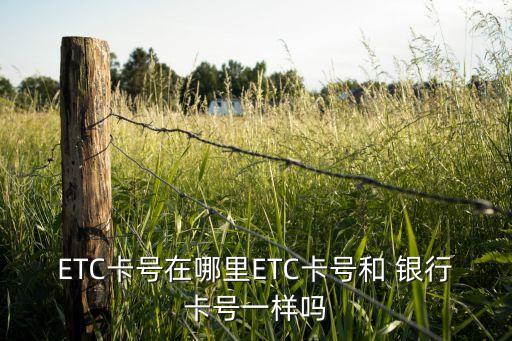 ETC卡號在哪里ETC卡號和 銀行卡號一樣嗎