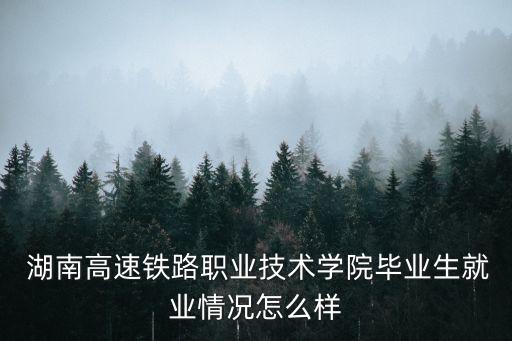  湖南高速鐵路職業(yè)技術學院畢業(yè)生就業(yè)情況怎么樣