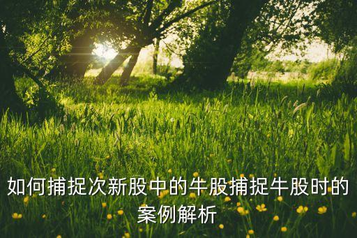 如何捕捉次新股中的牛股捕捉牛股時的案例解析