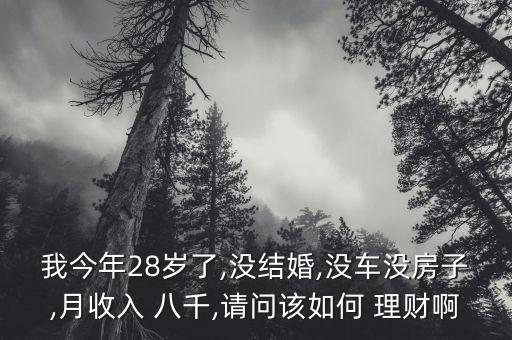 我今年28歲了,沒結(jié)婚,沒車沒房子,月收入 八千,請問該如何 理財啊