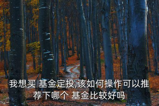 什么點(diǎn)位定投指數(shù)基金,定投指數(shù)基金排名前十名