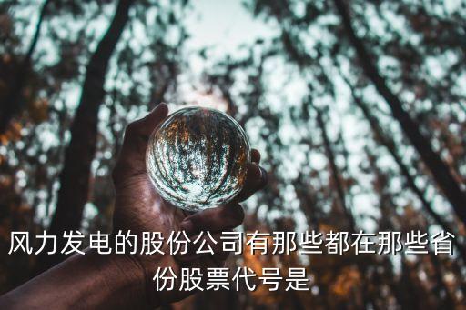 風(fēng)力發(fā)電的股份公司有那些都在那些省份股票代號是