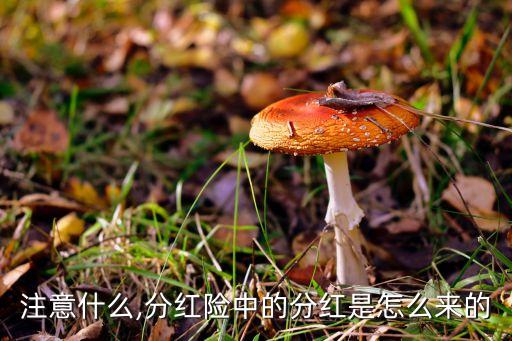 保險公司的當(dāng)年現(xiàn)金紅利哪里來,我國大部分保險公司采用現(xiàn)金紅利