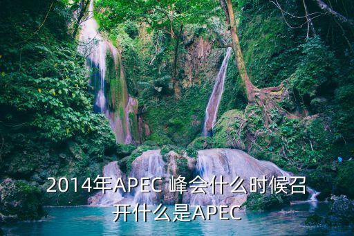 2014年APEC 峰會什么時候召開什么是APEC