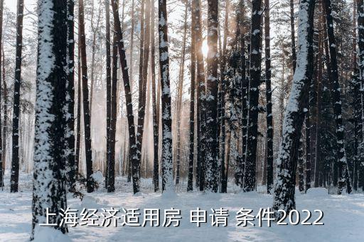 上海市經適房申請條件,經適房申請條件2023