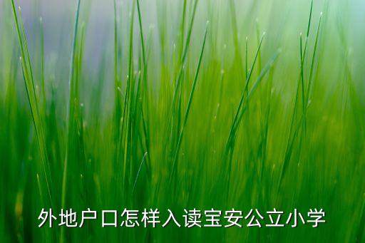 外地戶口怎樣入讀寶安公立小學