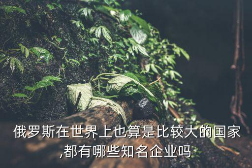 俄羅斯天然氣公司有哪些