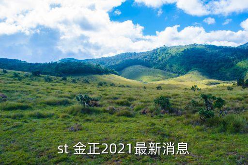 st 金正2021最新消息