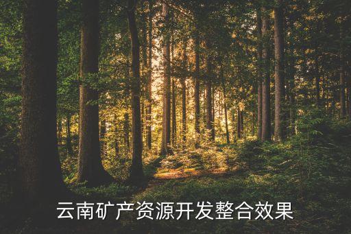 云南礦產(chǎn)資源開(kāi)發(fā)整合效果