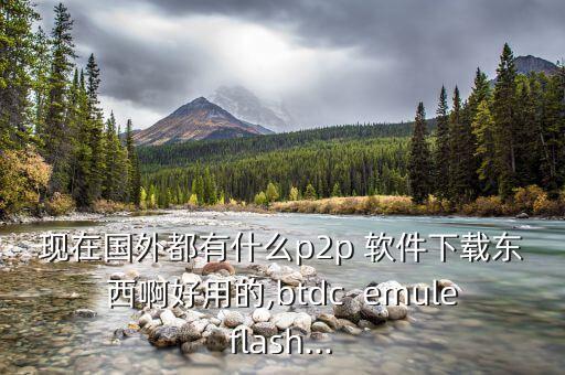 現(xiàn)在國外都有什么p2p 軟件下載東西啊好用的,btdc  emuleflash...