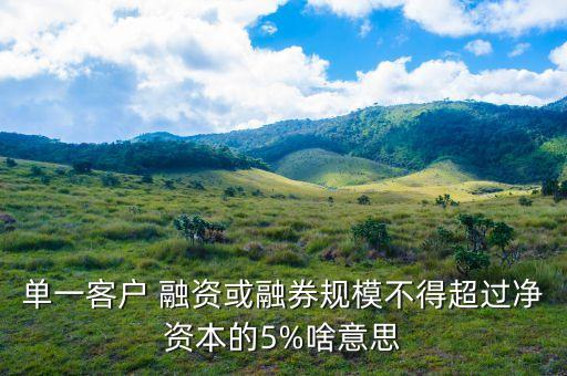 單一客戶 融資或融券規(guī)模不得超過凈資本的5%啥意思